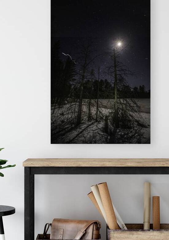 JBS 0579  by James Shedden Photography