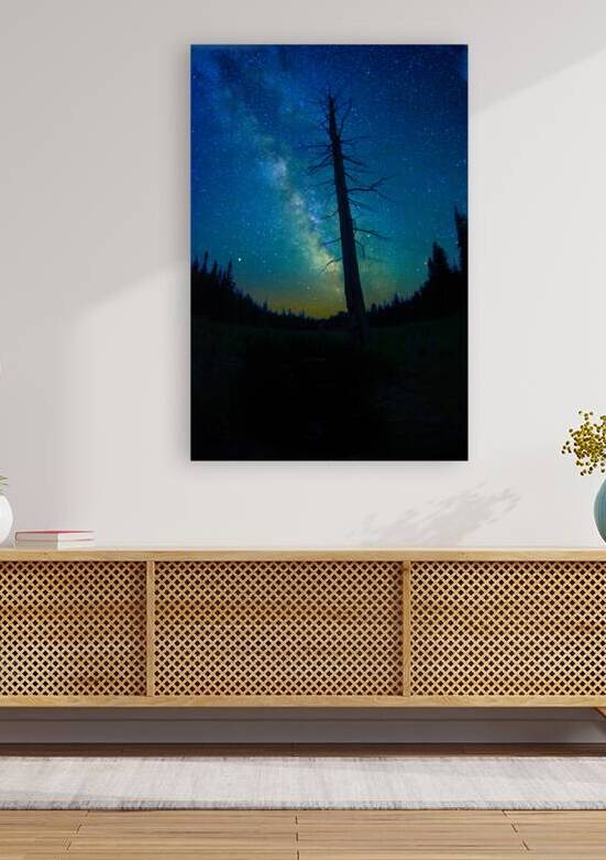 CRC 1662 by James Shedden Photography