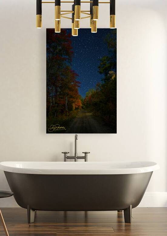 DSC 5764  by James Shedden Photography