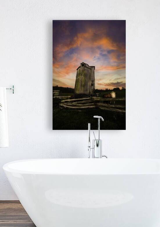 DSC 4632  by James Shedden Photography