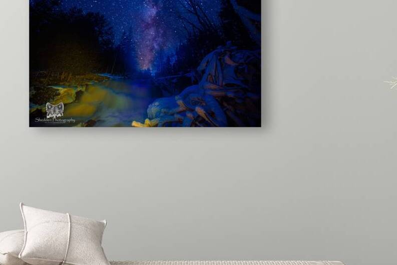 JBS 0712 2  by James Shedden Photography