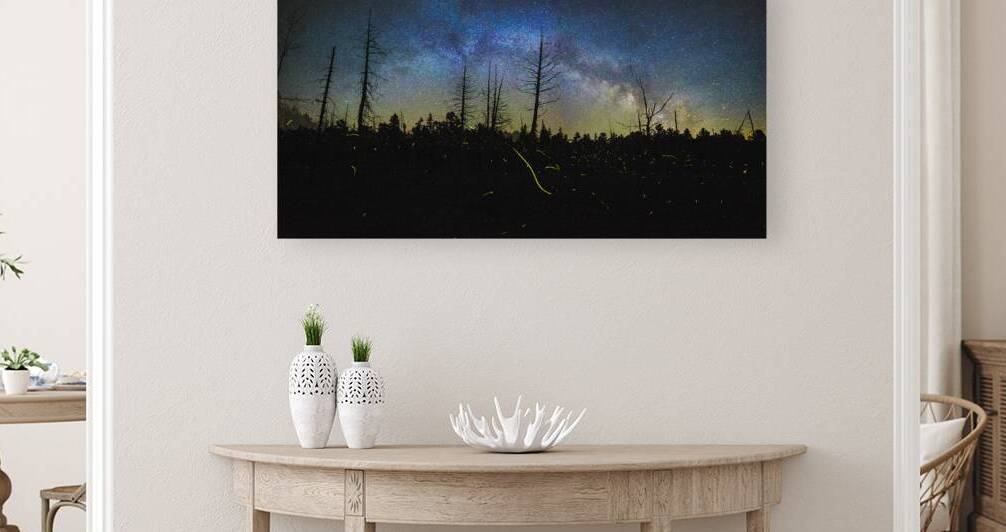 JBS 1455 by James Shedden Photography