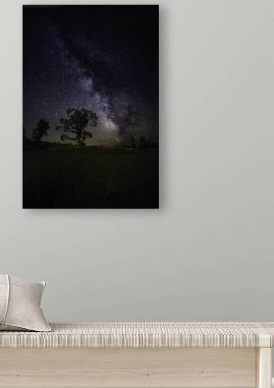 JBS 3446 by James Shedden Photography