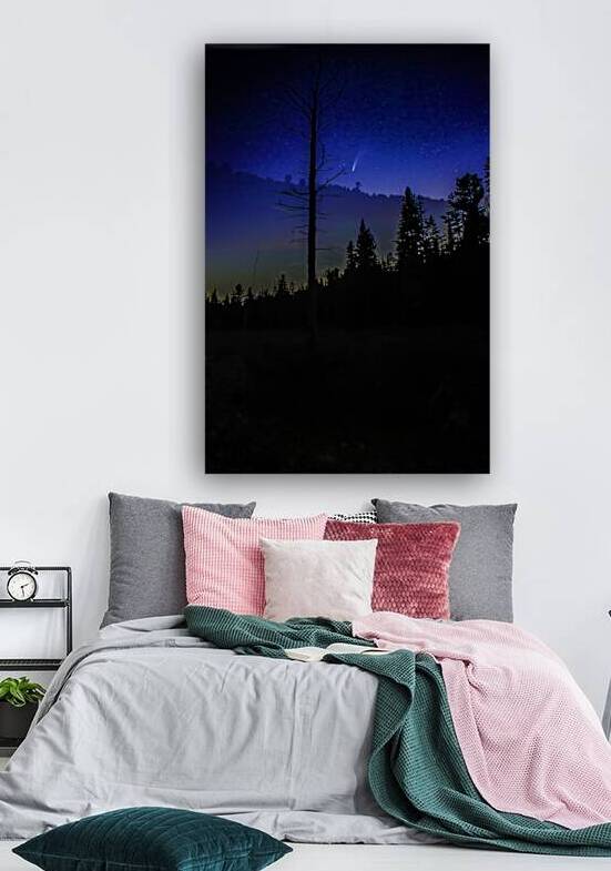 JBS 3699 3 by James Shedden Photography