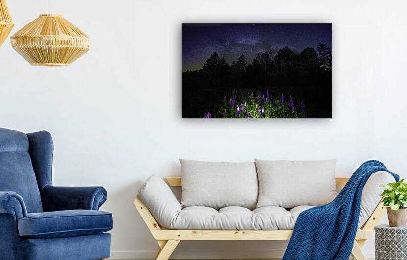 JBS 1800 by James Shedden Photography