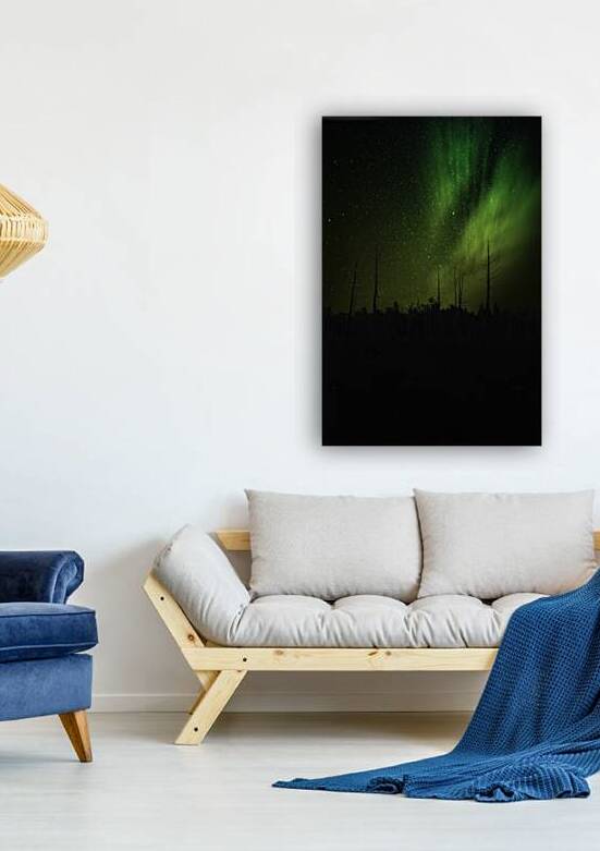 JBS 1399 by James Shedden Photography