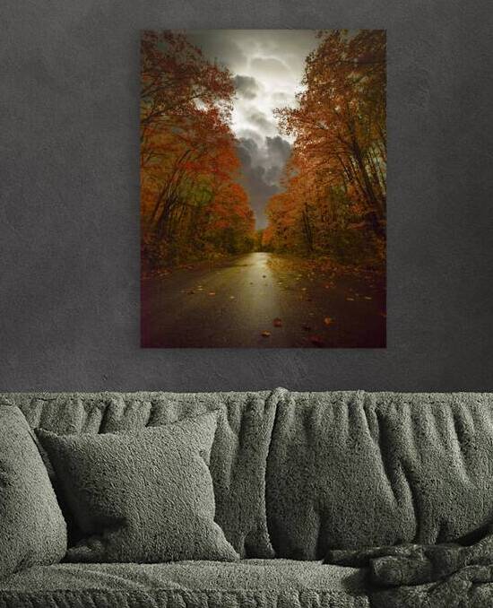 JBS 3790  by James Shedden Photography