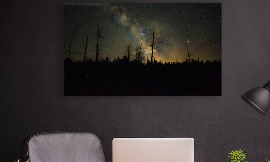 JBS 1459 by James Shedden Photography