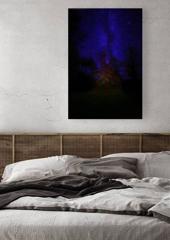 JBS 3648  by James Shedden Photography