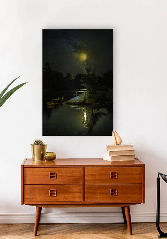 JBS 1098  by James Shedden Photography