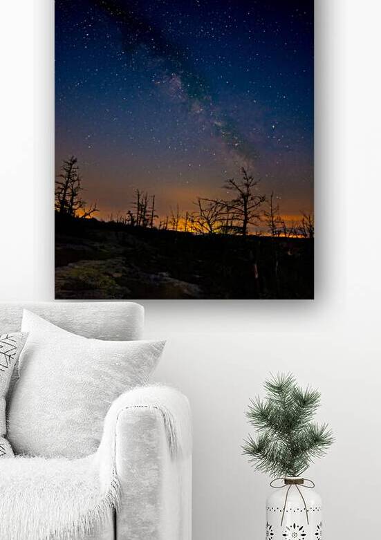 JBS 3918 by James Shedden Photography