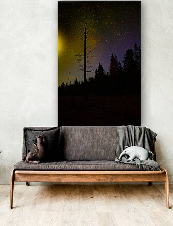 JBS 3723 by James Shedden Photography