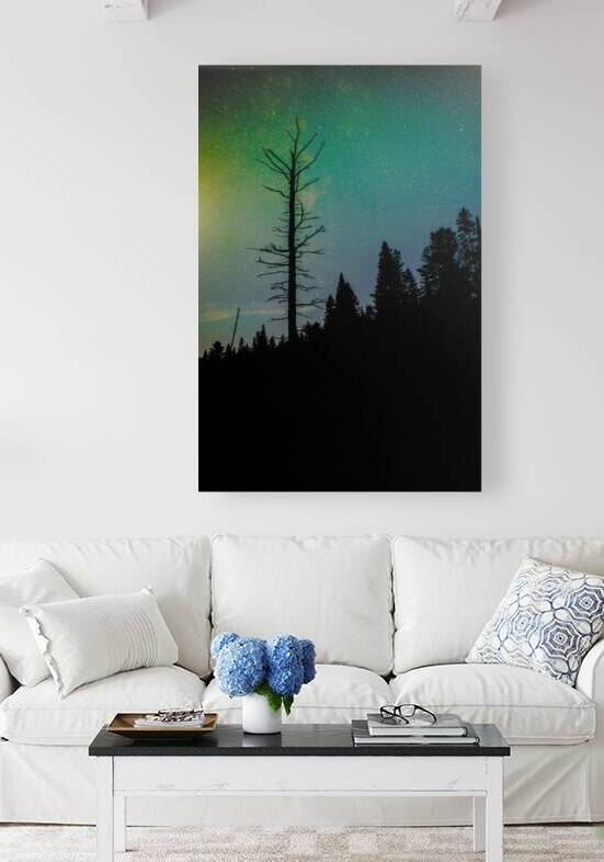 JBS 3718 by James Shedden Photography