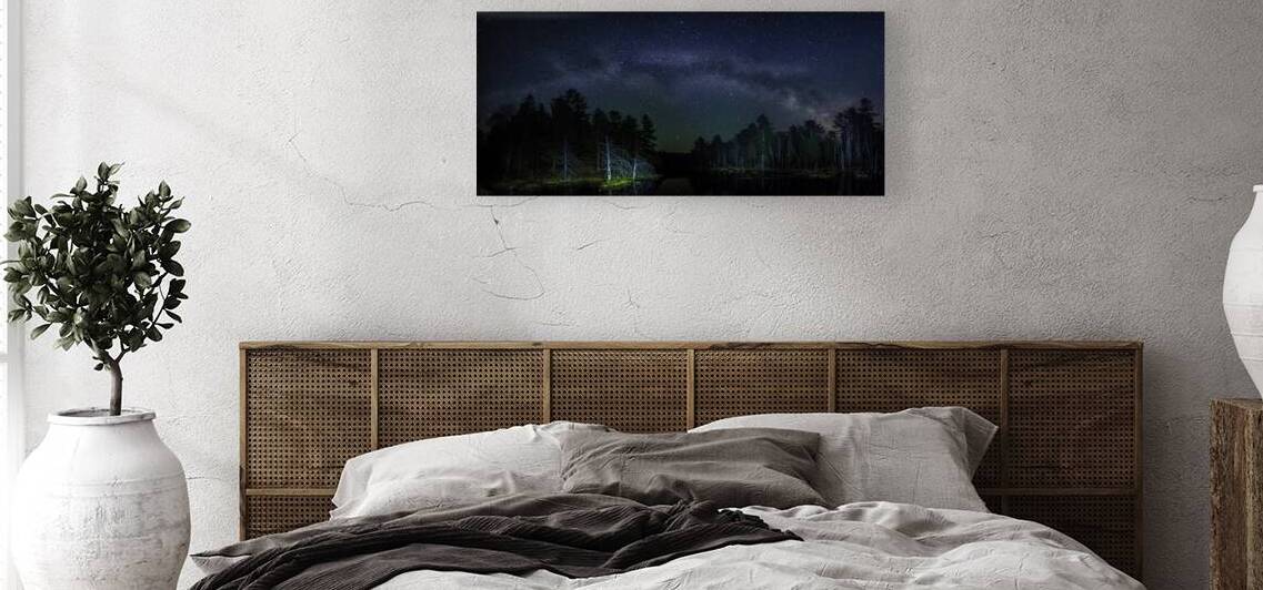 JBS 1292  by James Shedden Photography