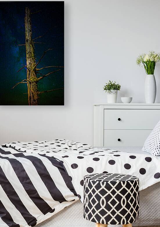 JBS 0996 by James Shedden Photography