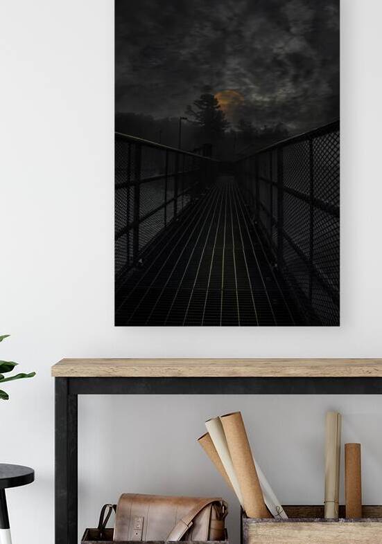 JBS 3041  by James Shedden Photography