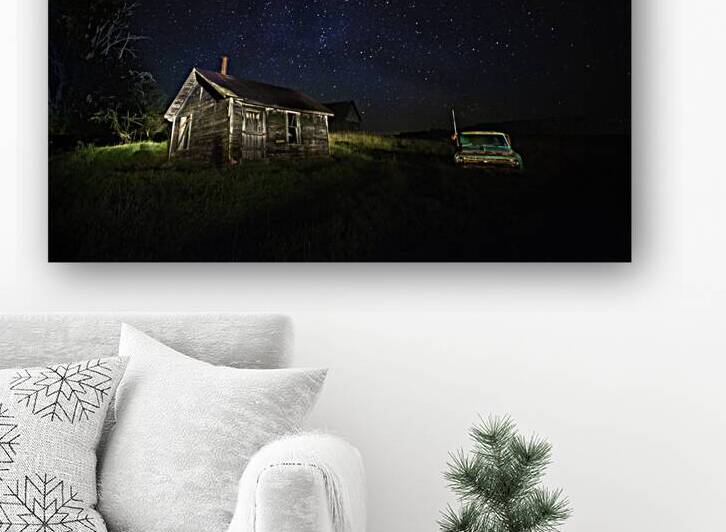 JBS 2845  by James Shedden Photography