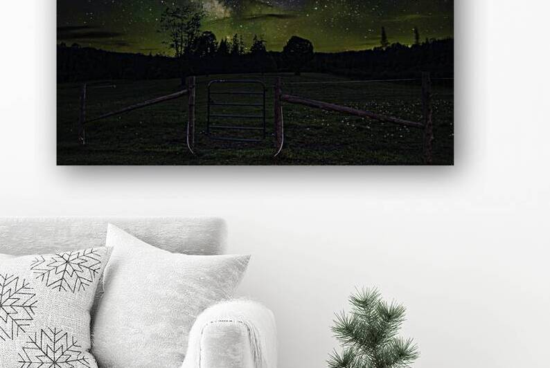 JBS 2438 1 by James Shedden Photography