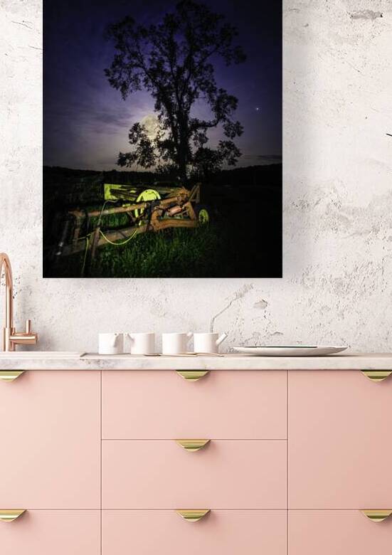 JBS 3459  by James Shedden Photography