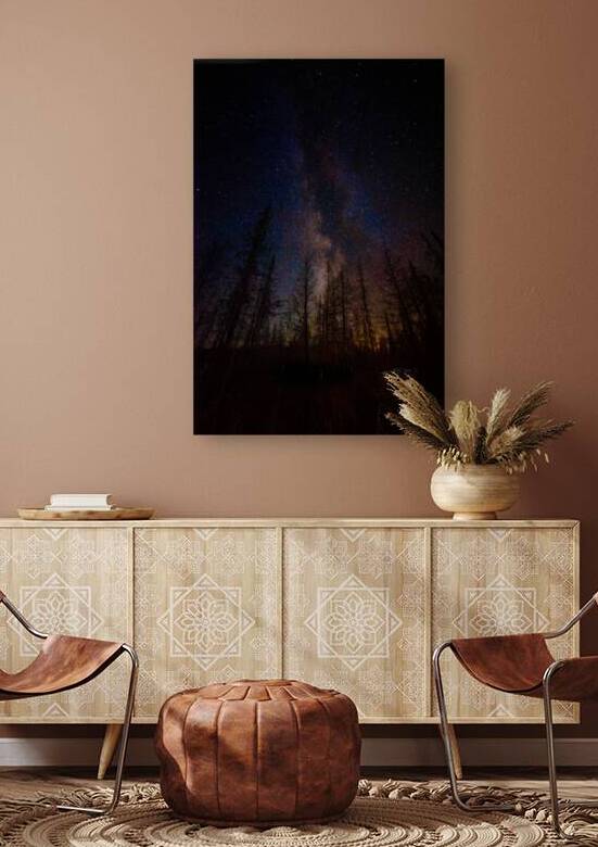 JBS 0766  by James Shedden Photography