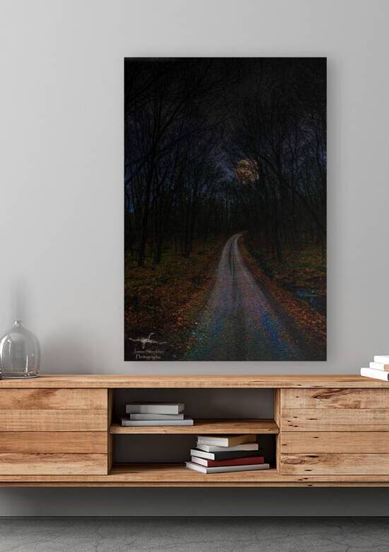 JBS 4841  by James Shedden Photography