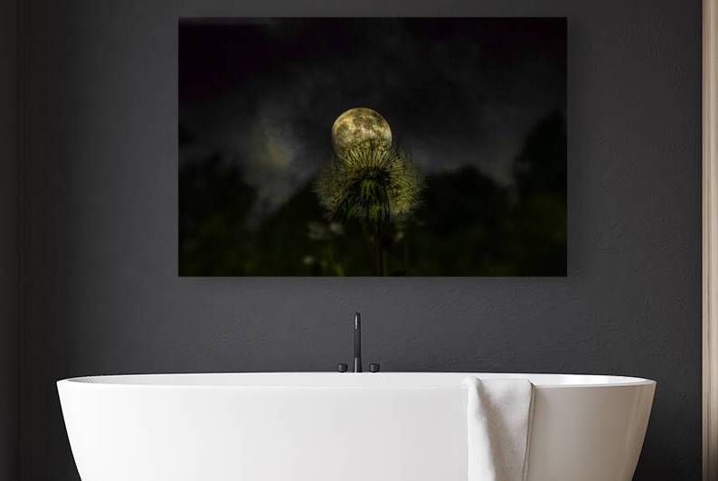 JBS 4984 1 by James Shedden Photography