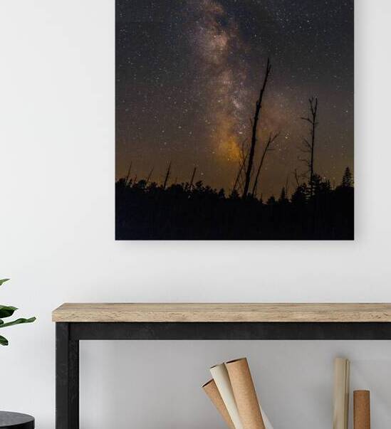 JBS 5360 2 by James Shedden Photography