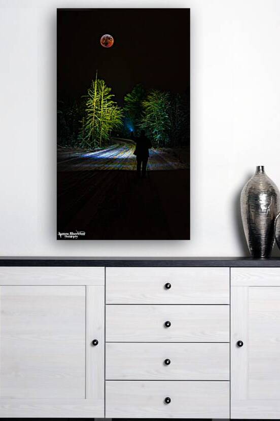 JBS 8023  by James Shedden Photography