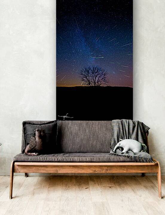 JBS 4027  by James Shedden Photography