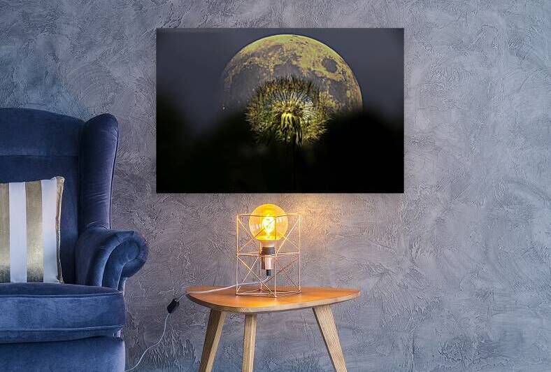 JBS 4981 2 by James Shedden Photography