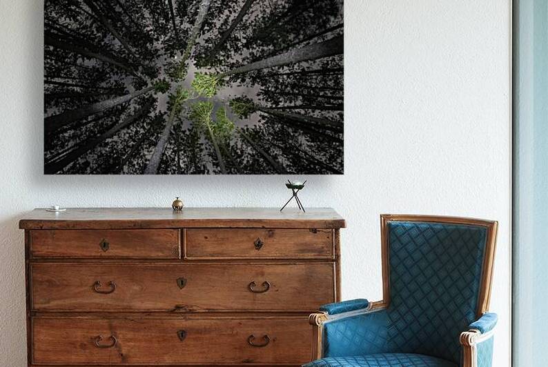 JBS 5553  by James Shedden Photography