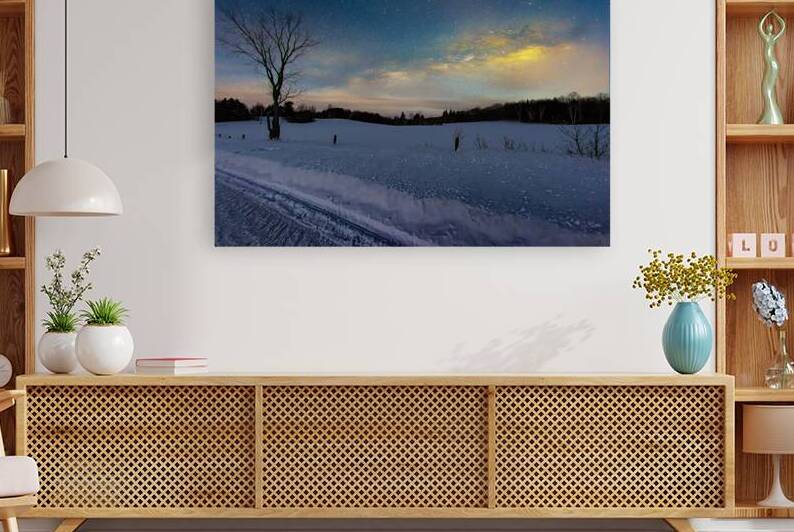 JBS 3992 2 by James Shedden Photography