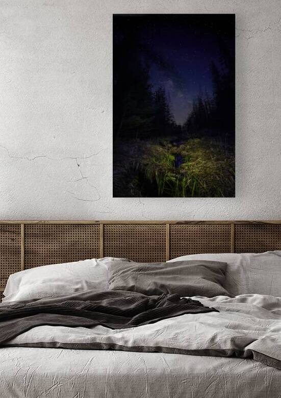 JBS 4835  by James Shedden Photography