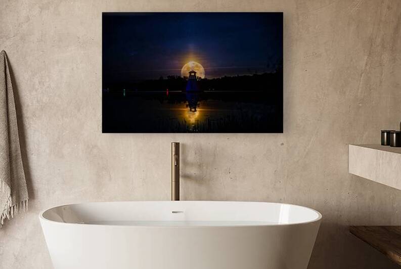 JBS 4239  by James Shedden Photography