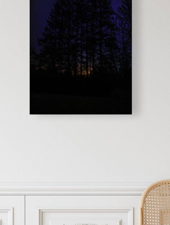 JBS 4719  by James Shedden Photography