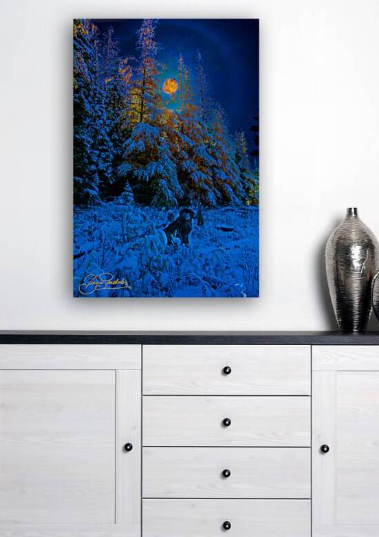 JBS 4968  by James Shedden Photography