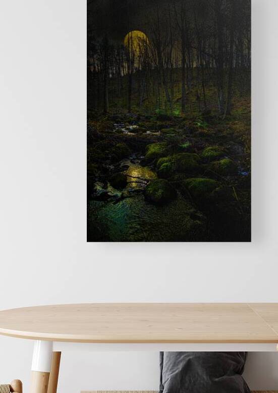 JBS 9682 by James Shedden Photography