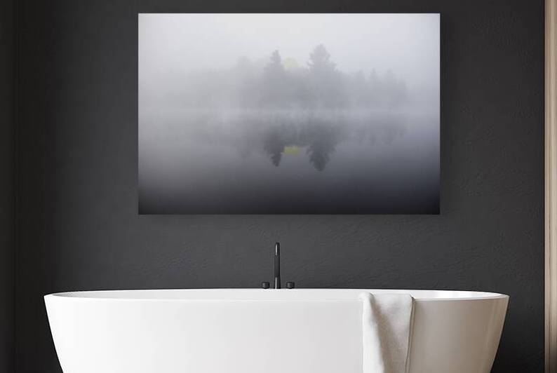 DSC 5615  by James Shedden Photography