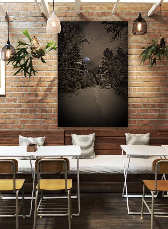 Z62 0235 by James Shedden Photography