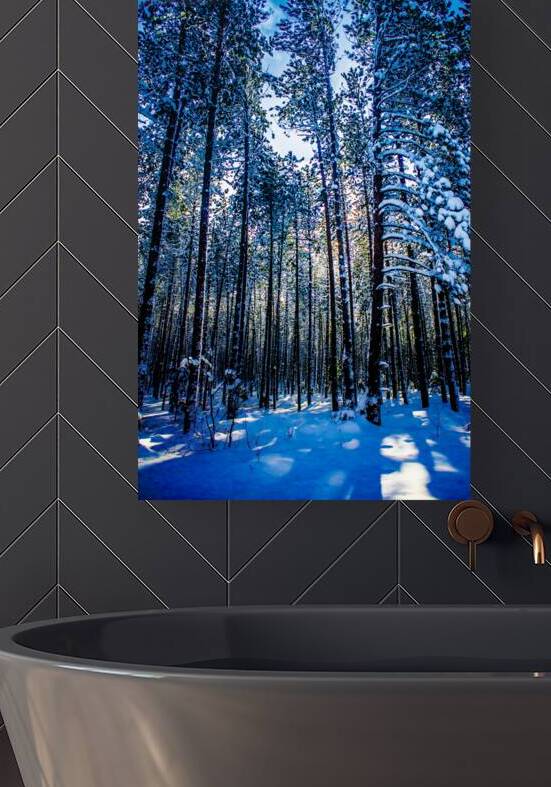 JBS 4409 by James Shedden Photography