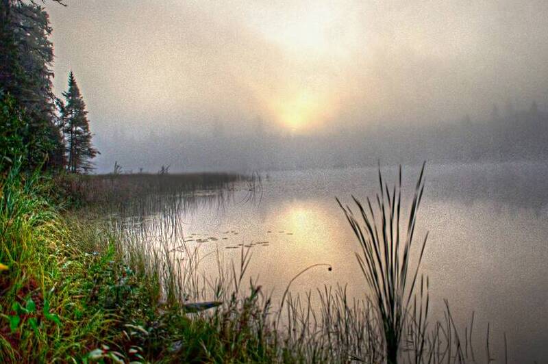 JBS 2558 by James Shedden Photography