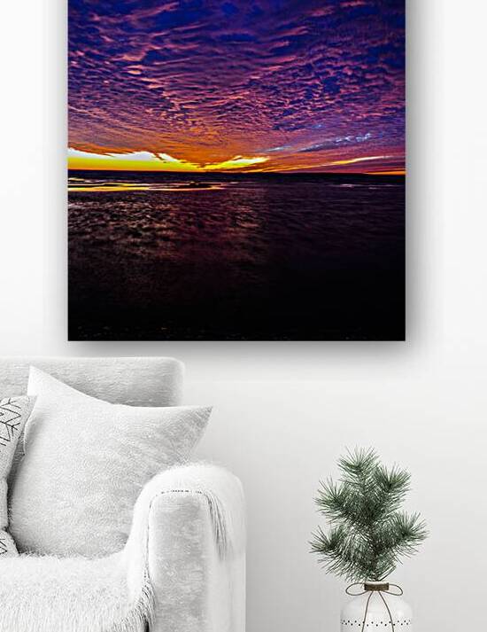 JBS 3785 by James Shedden Photography