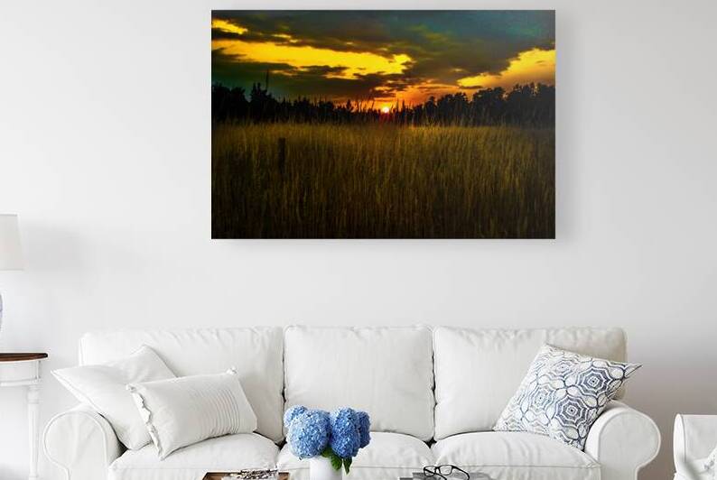 JBS 5786 by James Shedden Photography