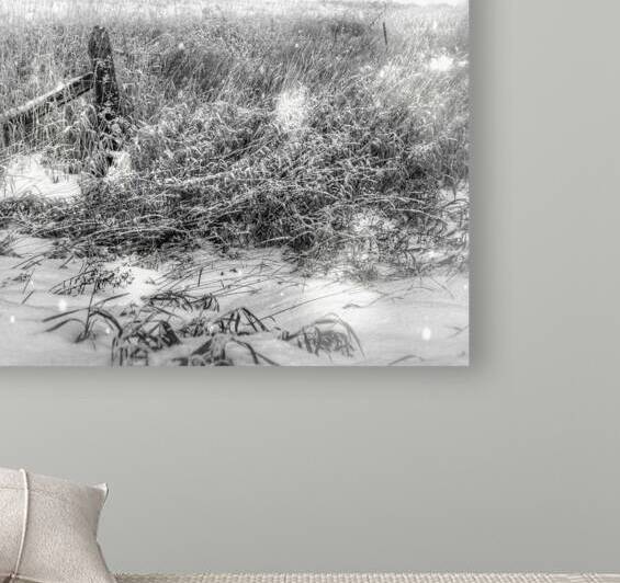 JBS 4080 by James Shedden Photography