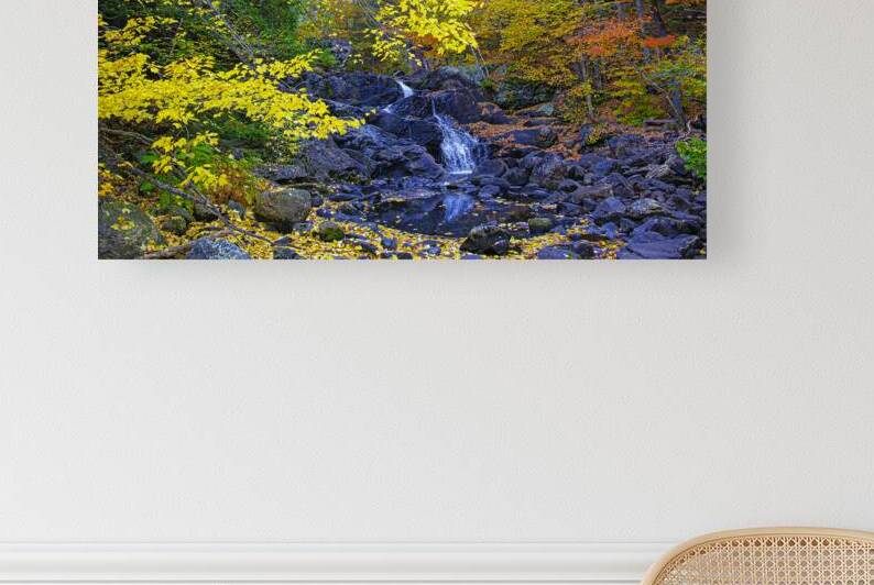 ZJS 5787 by James Shedden Photography