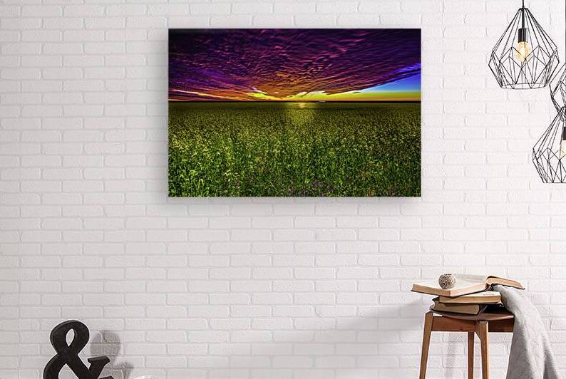 JBS 3554 by James Shedden Photography