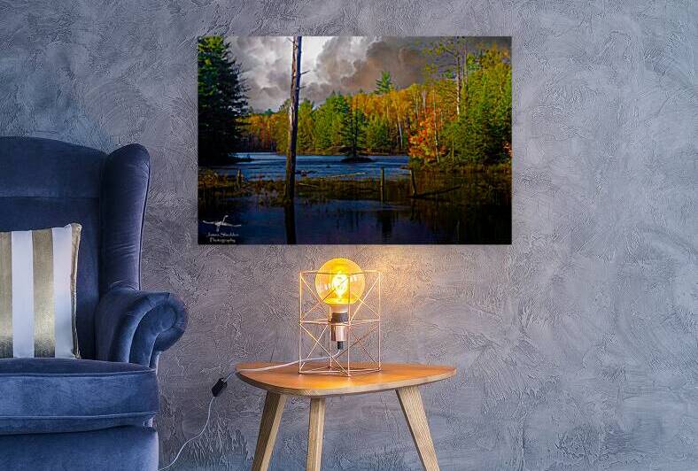  JBS4221 by James Shedden Photography