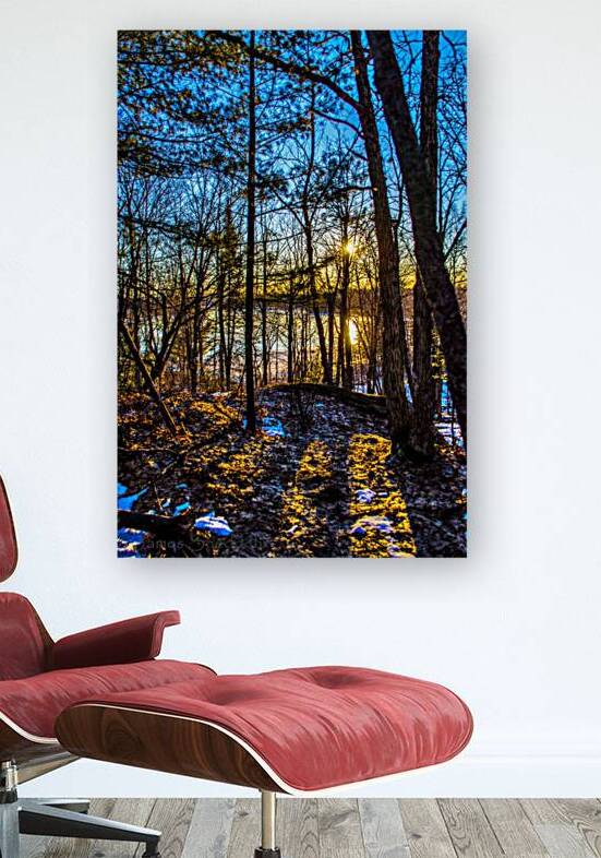 JBS 7909 by James Shedden Photography