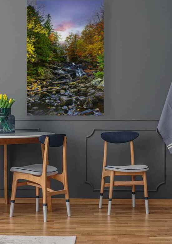 ZJS 5785 by James Shedden Photography