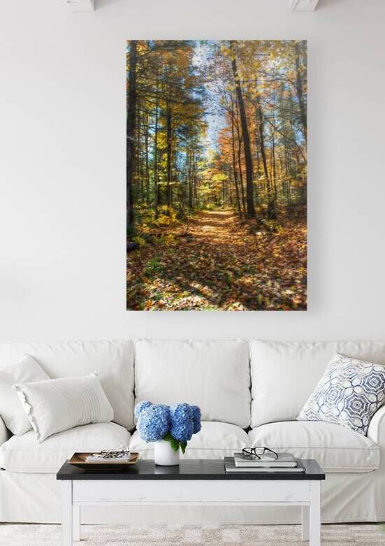 JBS 7125 by James Shedden Photography